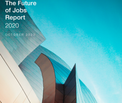 World Economic Forum: Future of Jobs Report 2020
